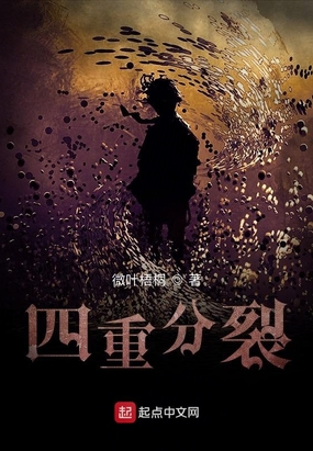 四重分裂